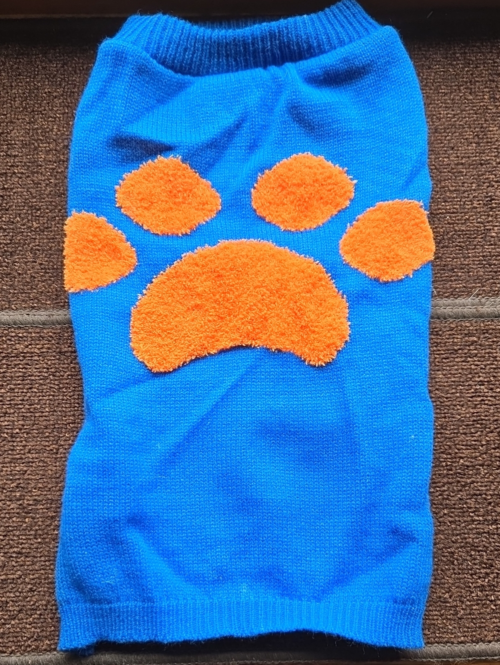 EUC Dog Sweater